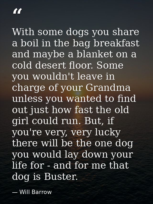 With some dogs you share a boil in the bag breakfast and maybe a blanket on a cold desert floor. Some you wouldn't leave — Will Barrow