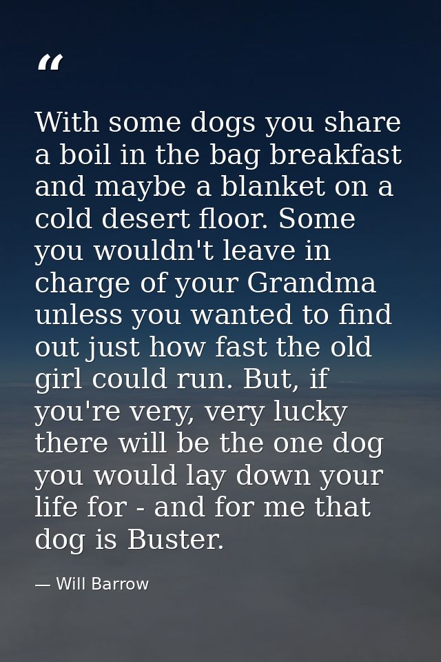 With some dogs you share a boil in the bag breakfast and maybe a blanket on a cold desert floor. Some you wouldn't leave — Will Barrow