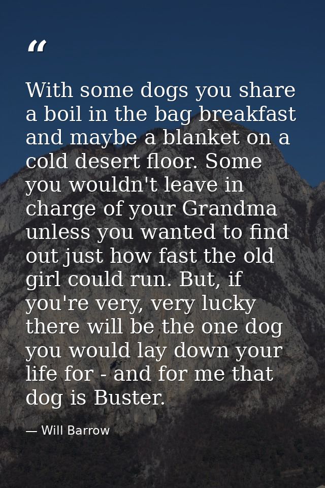 With some dogs you share a boil in the bag breakfast and maybe a blanket on a cold desert floor. Some you wouldn't leave — Will Barrow
