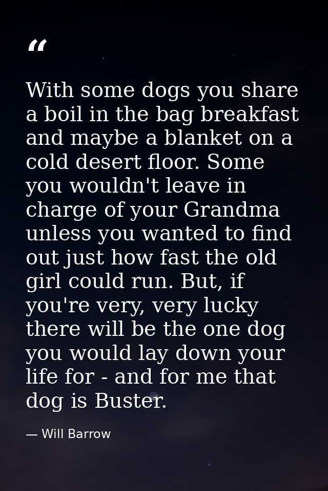 With some dogs you share a boil in the bag breakfast and maybe a blanket on a cold desert floor. Some you wouldn't leave — Will Barrow