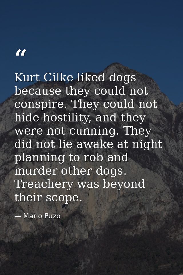 Kurt Cilke liked dogs because they could not conspire. They could not hide hostility, and they were not cunning. They di — Mario Puzo
