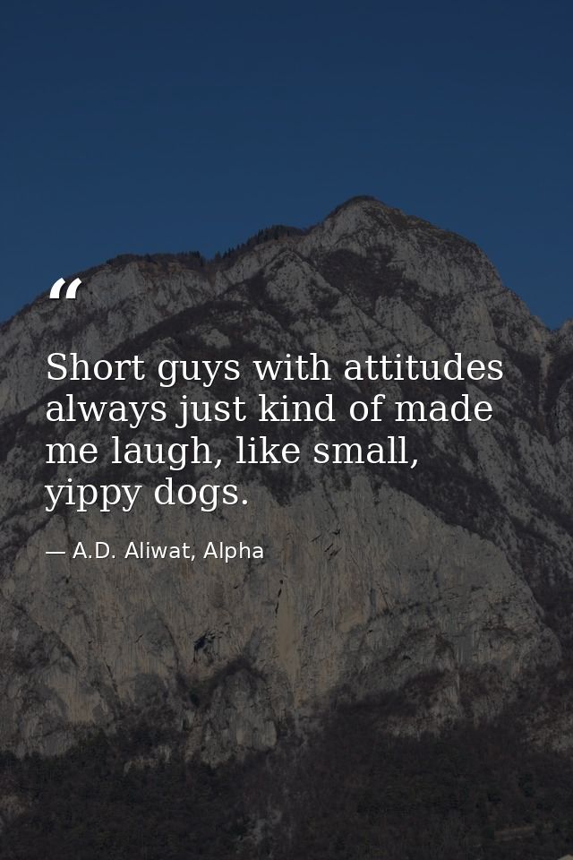 Short guys with attitudes always just kind of made me laugh, like small, yippy dogs. — A.D. Aliwat, Alpha
