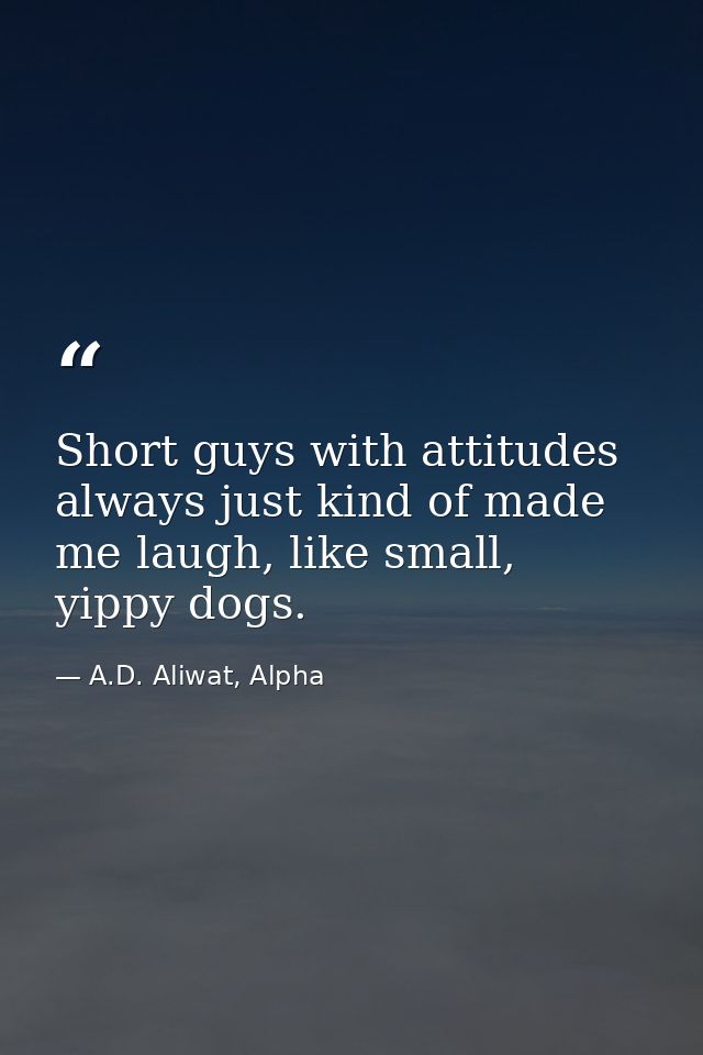 Short guys with attitudes always just kind of made me laugh, like small, yippy dogs. — A.D. Aliwat, Alpha