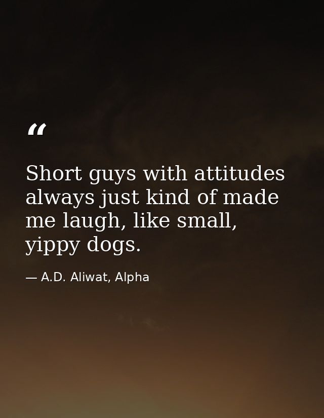 Short guys with attitudes always just kind of made me laugh, like small, yippy dogs. — A.D. Aliwat, Alpha