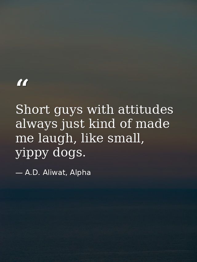 Short guys with attitudes always just kind of made me laugh, like small, yippy dogs. — A.D. Aliwat, Alpha