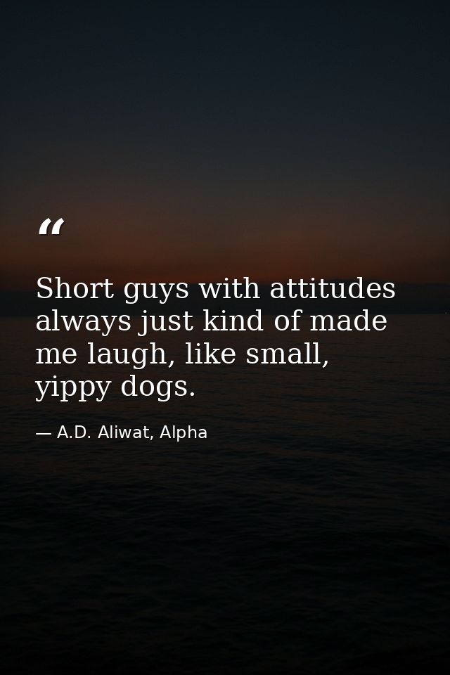 Short guys with attitudes always just kind of made me laugh, like small, yippy dogs. — A.D. Aliwat, Alpha