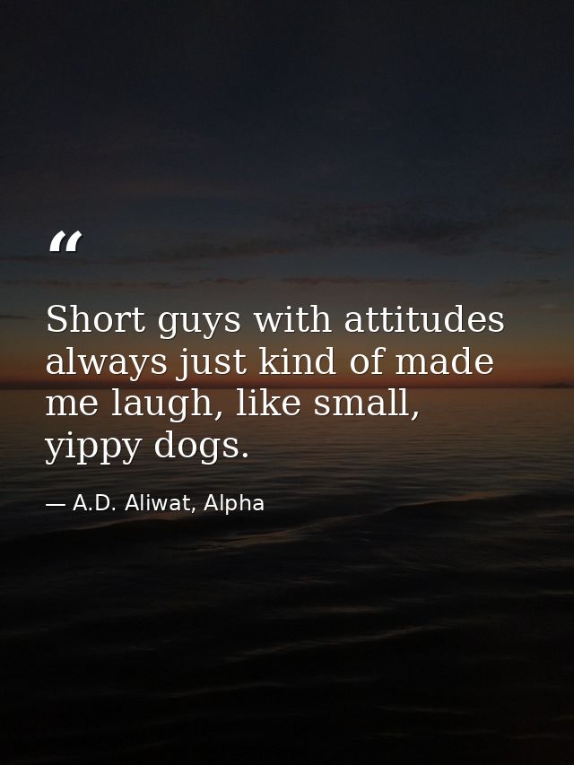 Short guys with attitudes always just kind of made me laugh, like small, yippy dogs. — A.D. Aliwat, Alpha