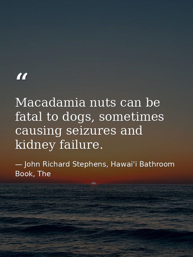 Macadamia nuts can be fatal to dogs, sometimes causing seizures and kidney failure. — John Richard Stephens, Hawai'i Bathroom Book, The
