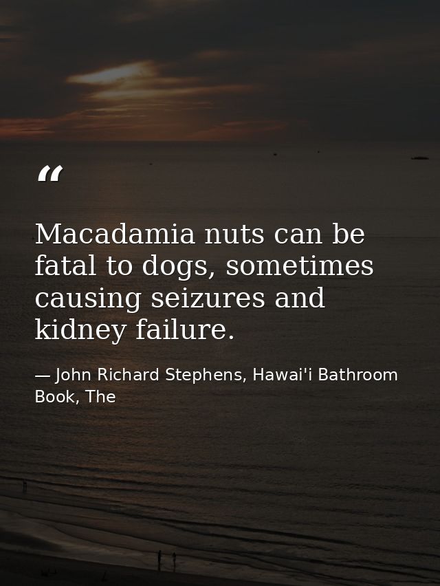 Macadamia nuts can be fatal to dogs, sometimes causing seizures and kidney failure. — John Richard Stephens, Hawai'i Bathroom Book, The