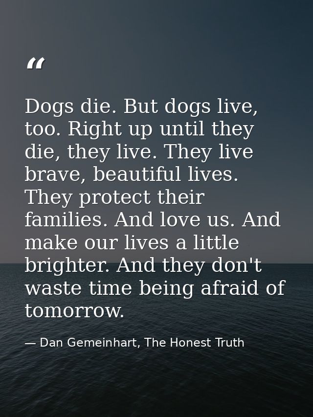 Dogs die. But dogs live, too. Right up until they die, they live. They live brave, beautiful lives. They protect their f — Dan Gemeinhart, The Honest Truth