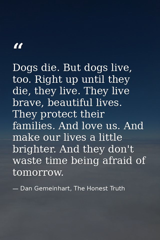 Dogs die. But dogs live, too. Right up until they die, they live. They live brave, beautiful lives. They protect their f — Dan Gemeinhart, The Honest Truth