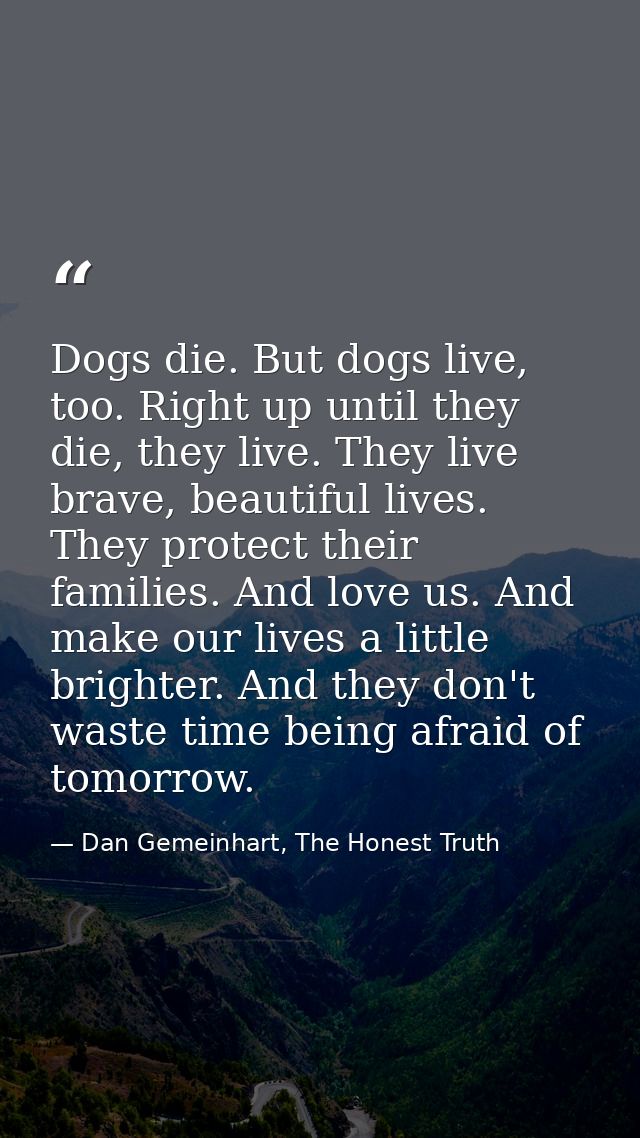 Dogs die. But dogs live, too. Right up until they die, they live. They live brave, beautiful lives. They protect their f — Dan Gemeinhart, The Honest Truth