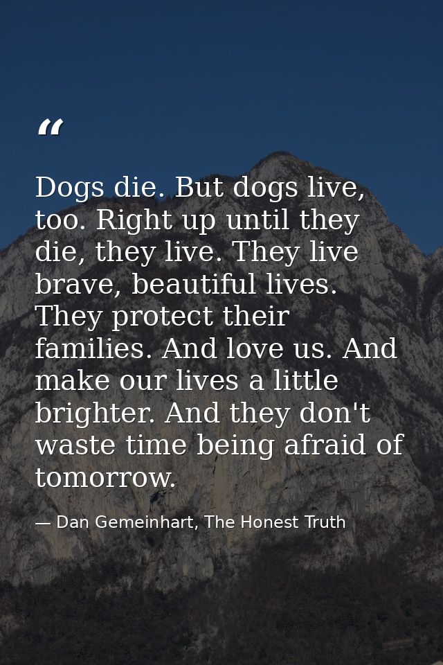 Dogs die. But dogs live, too. Right up until they die, they live. They live brave, beautiful lives. They protect their f — Dan Gemeinhart, The Honest Truth
