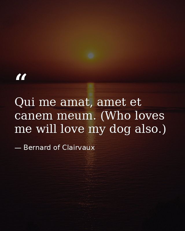 Qui me amat, amet et canem meum. (Who loves me will love my dog also.) — Bernard of Clairvaux