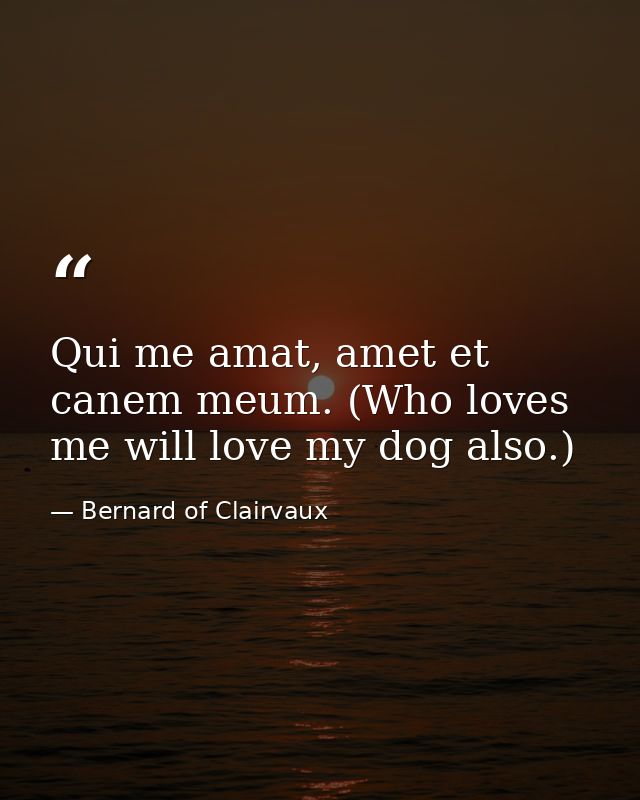 Qui me amat, amet et canem meum. (Who loves me will love my dog also.) — Bernard of Clairvaux