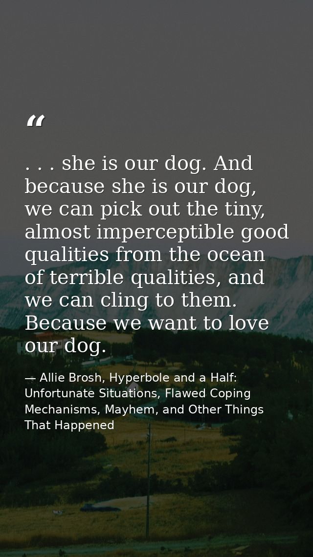 . . . she is our dog. And because she is our dog, we can pick out the tiny, almost imperceptible good qualities from the — Allie Brosh, Hyperbole and a Half: Unfortunate Situations, Flawed Coping Mechanisms, Mayhem, and Other Things That Happened