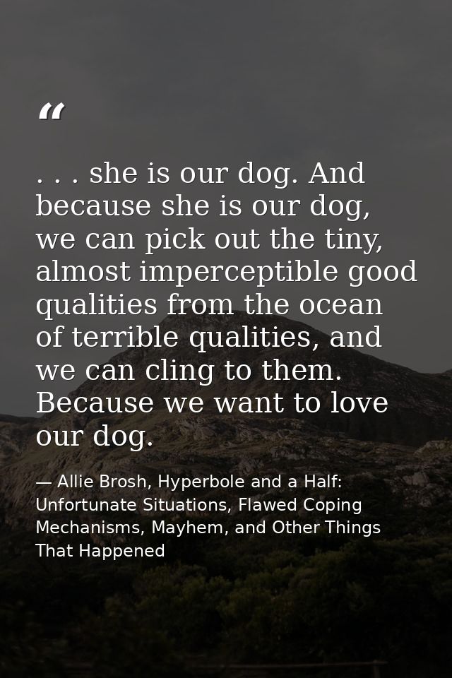 . . . she is our dog. And because she is our dog, we can pick out the tiny, almost imperceptible good qualities from the — Allie Brosh, Hyperbole and a Half: Unfortunate Situations, Flawed Coping Mechanisms, Mayhem, and Other Things That Happened