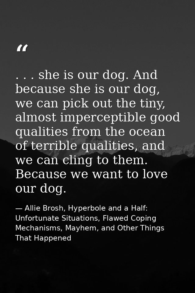 . . . she is our dog. And because she is our dog, we can pick out the tiny, almost imperceptible good qualities from the — Allie Brosh, Hyperbole and a Half: Unfortunate Situations, Flawed Coping Mechanisms, Mayhem, and Other Things That Happened
