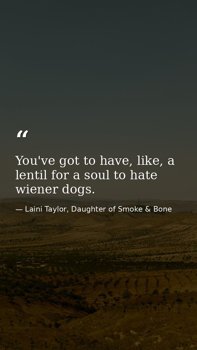 You've got to have, like, a lentil for a soul to hate wiener dogs. — Laini Taylor, Daughter of Smoke & Bone