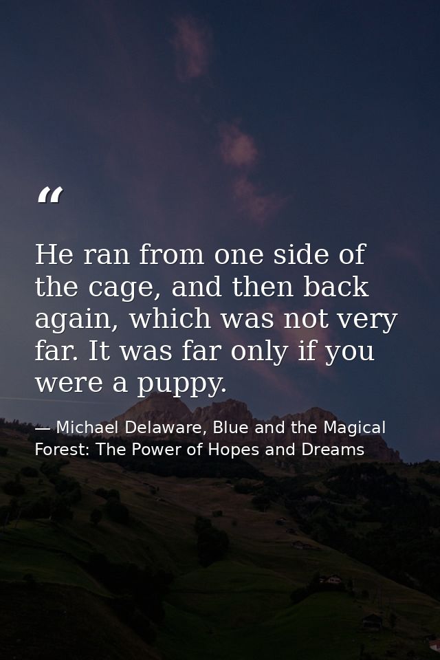 He ran from one side of the cage, and then back again, which was not very far. It was far only if you were a puppy. — Michael Delaware, Blue and the Magical Forest: The Power of Hopes and Dreams