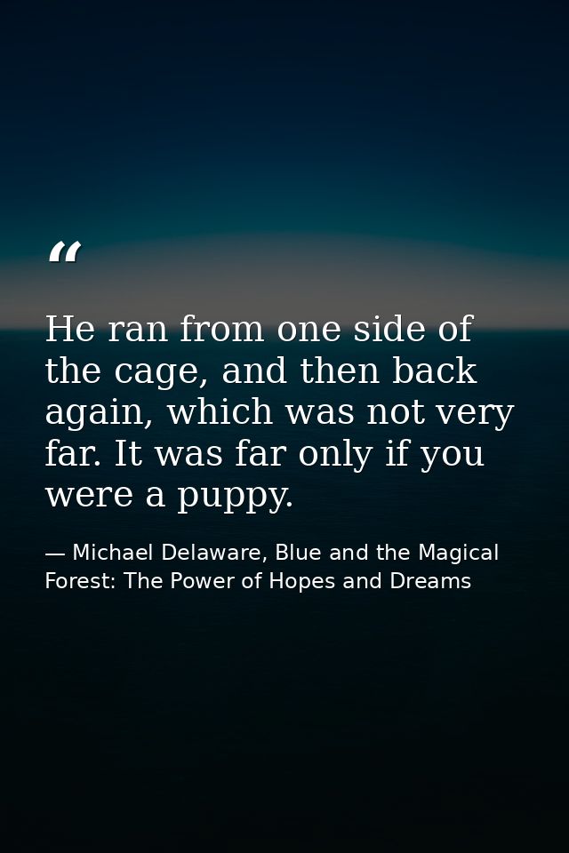 He ran from one side of the cage, and then back again, which was not very far. It was far only if you were a puppy. — Michael Delaware, Blue and the Magical Forest: The Power of Hopes and Dreams