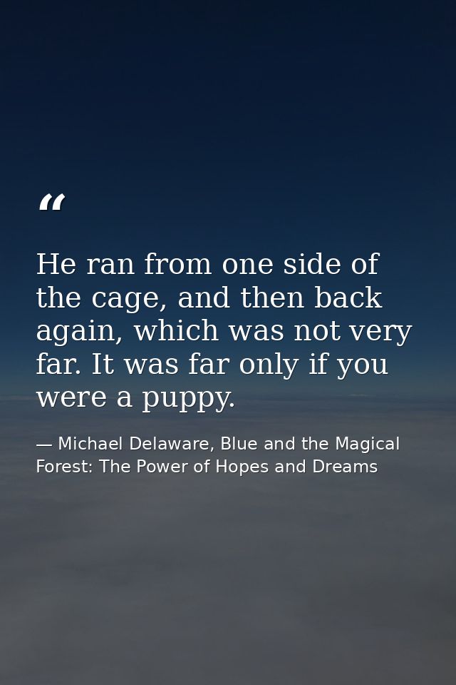 He ran from one side of the cage, and then back again, which was not very far. It was far only if you were a puppy. — Michael Delaware, Blue and the Magical Forest: The Power of Hopes and Dreams