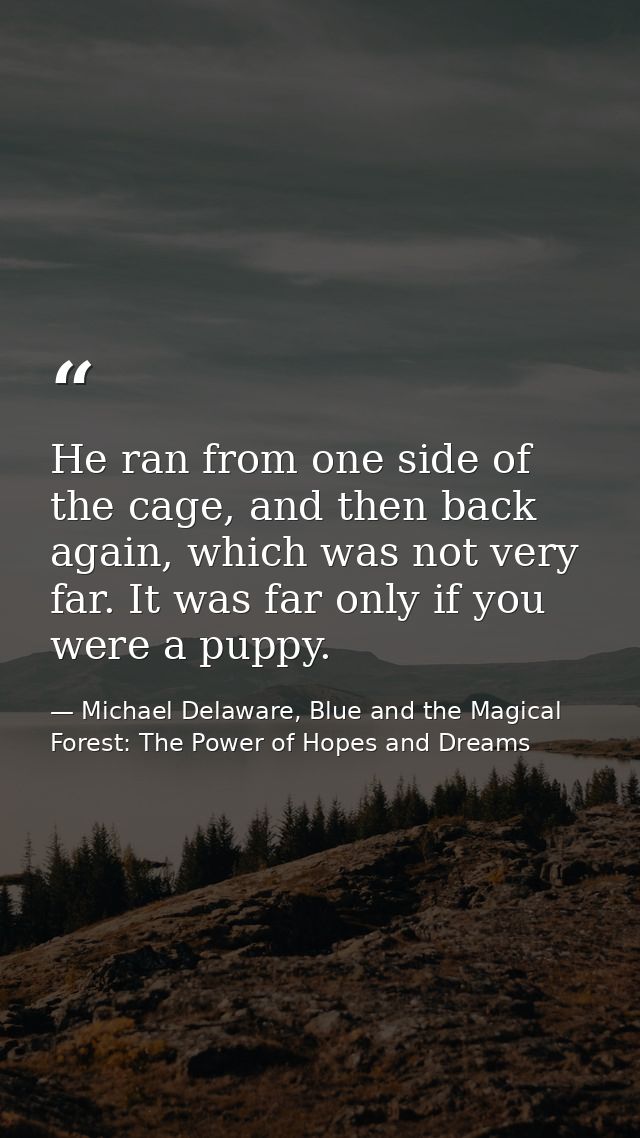 He ran from one side of the cage, and then back again, which was not very far. It was far only if you were a puppy. — Michael Delaware, Blue and the Magical Forest: The Power of Hopes and Dreams