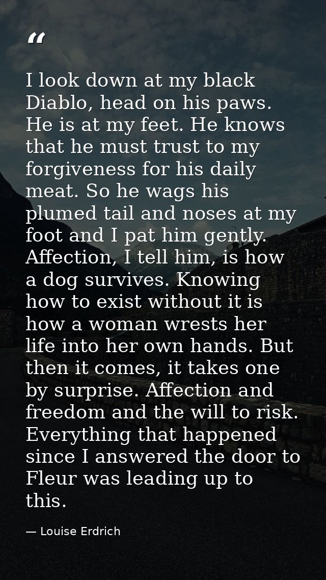 I look down at my black Diablo, head on his paws. He is at my feet. He knows that he must trust to my forgiveness for hi — Louise Erdrich