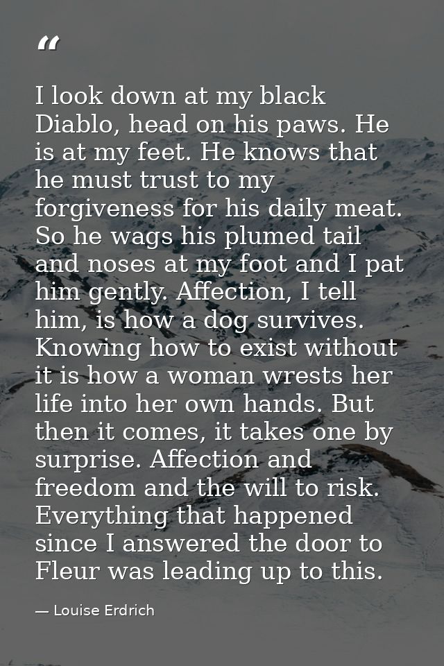 I look down at my black Diablo, head on his paws. He is at my feet. He knows that he must trust to my forgiveness for hi — Louise Erdrich
