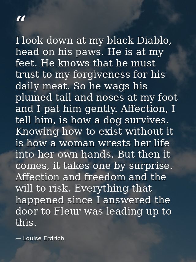 I look down at my black Diablo, head on his paws. He is at my feet. He knows that he must trust to my forgiveness for hi — Louise Erdrich