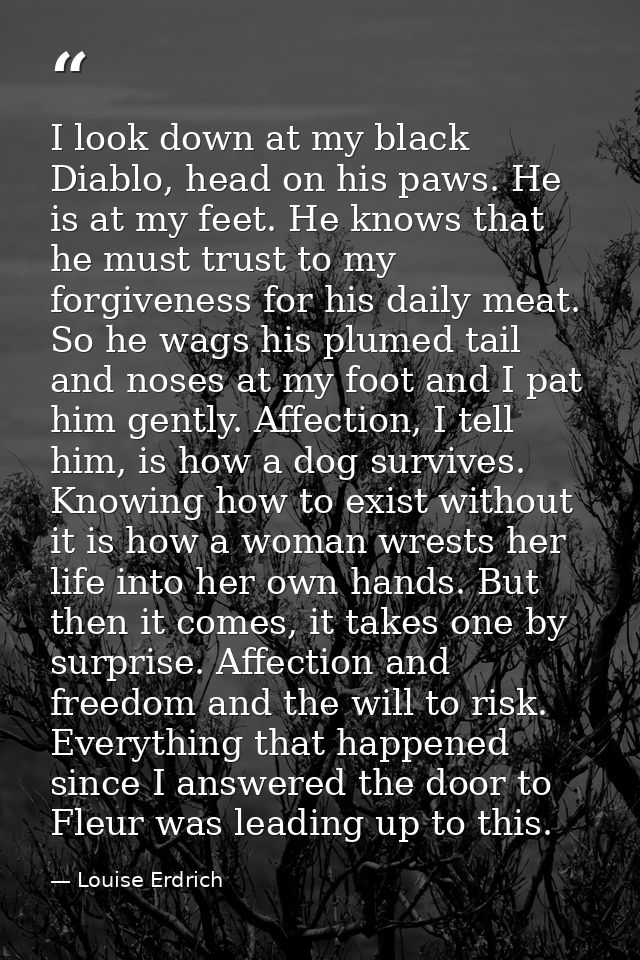 I look down at my black Diablo, head on his paws. He is at my feet. He knows that he must trust to my forgiveness for hi — Louise Erdrich