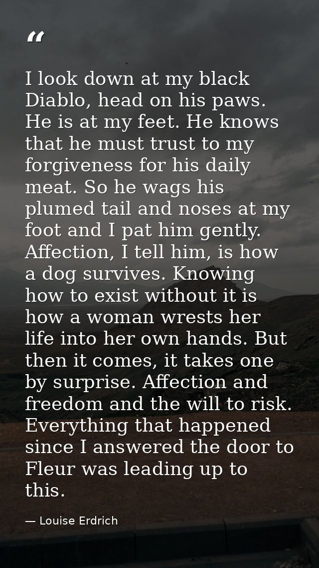 I look down at my black Diablo, head on his paws. He is at my feet. He knows that he must trust to my forgiveness for hi — Louise Erdrich