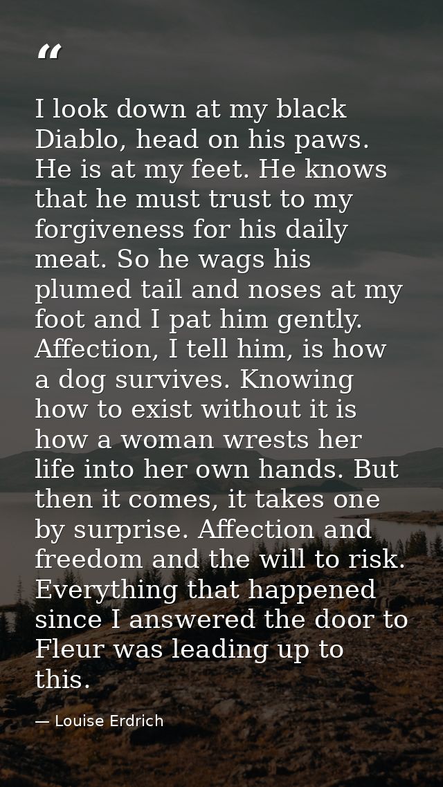 I look down at my black Diablo, head on his paws. He is at my feet. He knows that he must trust to my forgiveness for hi — Louise Erdrich