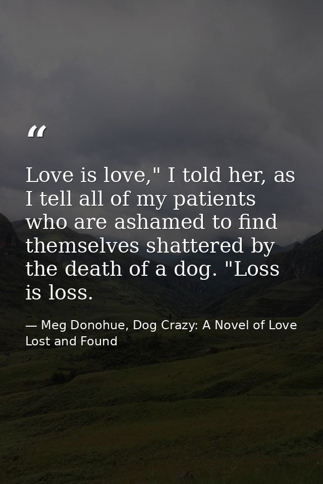 Love is love," I told her, as I tell all of my patients who are ashamed to find themselves shattered by the death of a d — Meg Donohue, Dog Crazy: A Novel of Love Lost and Found