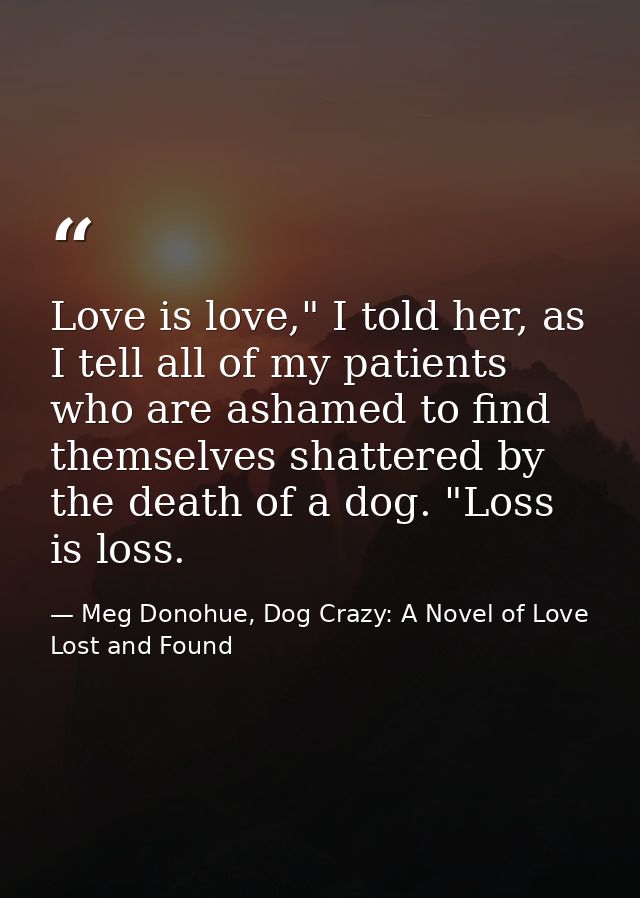 Love is love," I told her, as I tell all of my patients who are ashamed to find themselves shattered by the death of a d — Meg Donohue, Dog Crazy: A Novel of Love Lost and Found