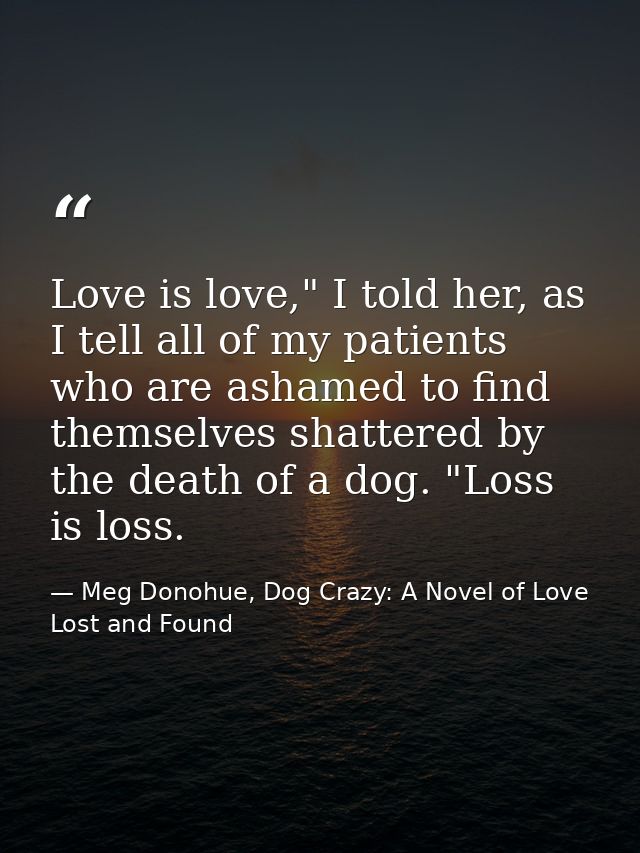 Love is love," I told her, as I tell all of my patients who are ashamed to find themselves shattered by the death of a d — Meg Donohue, Dog Crazy: A Novel of Love Lost and Found