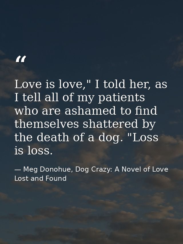 Love is love," I told her, as I tell all of my patients who are ashamed to find themselves shattered by the death of a d — Meg Donohue, Dog Crazy: A Novel of Love Lost and Found