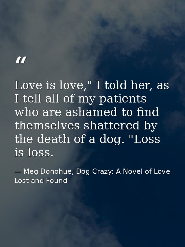 Love is love," I told her, as I tell all of my patients who are ashamed to find themselves shattered by the death of a d — Meg Donohue, Dog Crazy: A Novel of Love Lost and Found