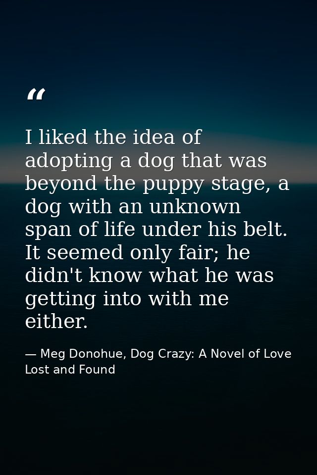 I liked the idea of adopting a dog that was beyond the puppy stage, a dog with an unknown span of life under his belt. I — Meg Donohue, Dog Crazy: A Novel of Love Lost and Found