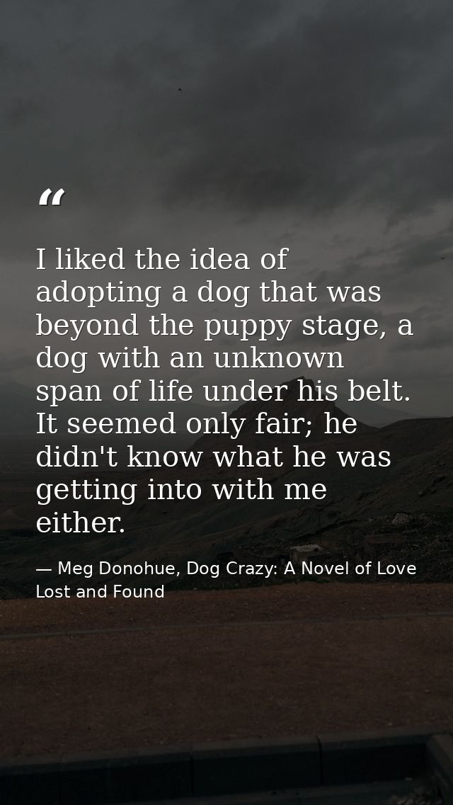 I liked the idea of adopting a dog that was beyond the puppy stage, a dog with an unknown span of life under his belt. I — Meg Donohue, Dog Crazy: A Novel of Love Lost and Found