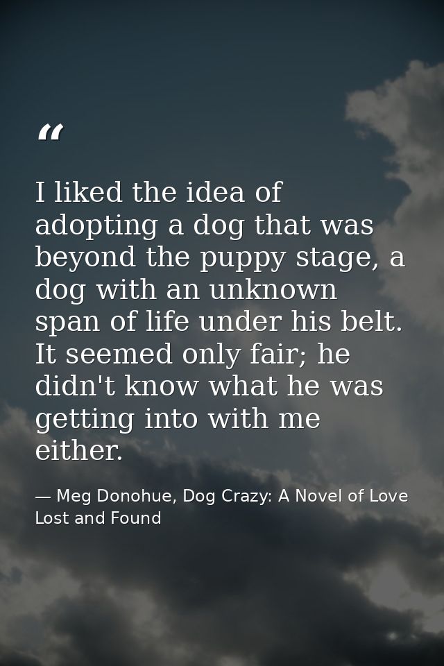 I liked the idea of adopting a dog that was beyond the puppy stage, a dog with an unknown span of life under his belt. I — Meg Donohue, Dog Crazy: A Novel of Love Lost and Found
