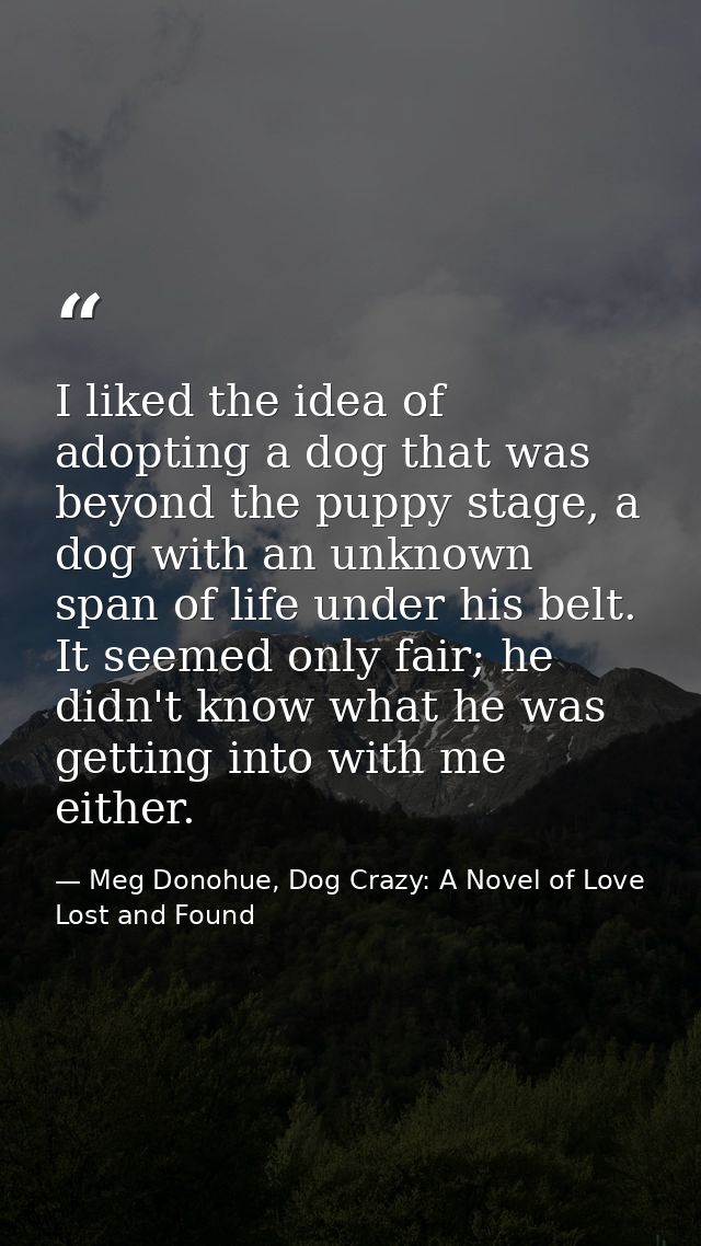 I liked the idea of adopting a dog that was beyond the puppy stage, a dog with an unknown span of life under his belt. I — Meg Donohue, Dog Crazy: A Novel of Love Lost and Found