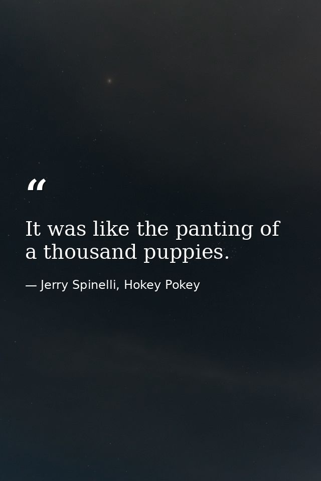 It was like the panting of a thousand puppies. — Jerry Spinelli, Hokey Pokey