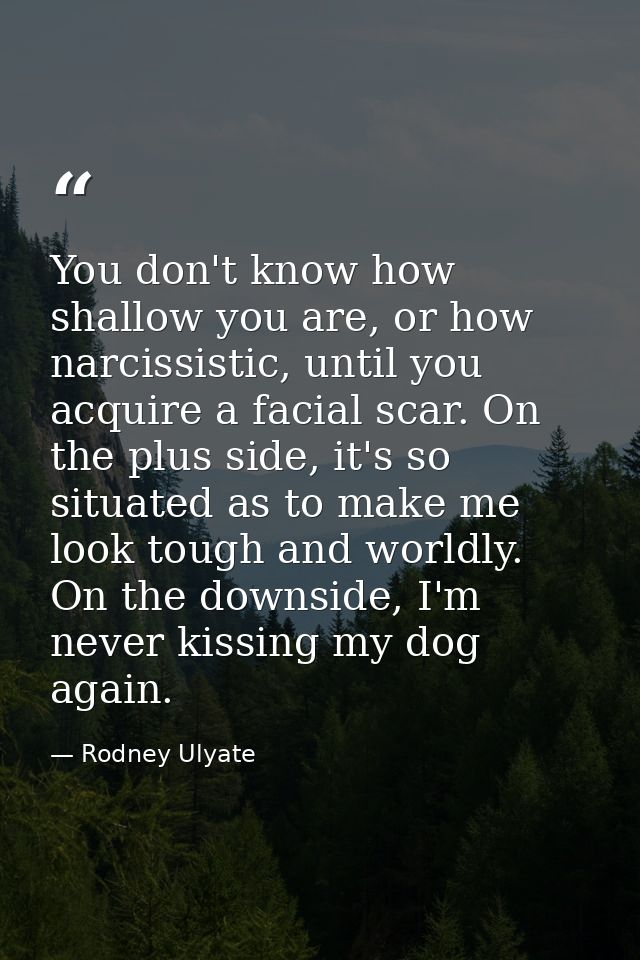 You don't know how shallow you are, or how narcissistic, until you acquire a facial scar. On the plus side, it's so situ — Rodney Ulyate