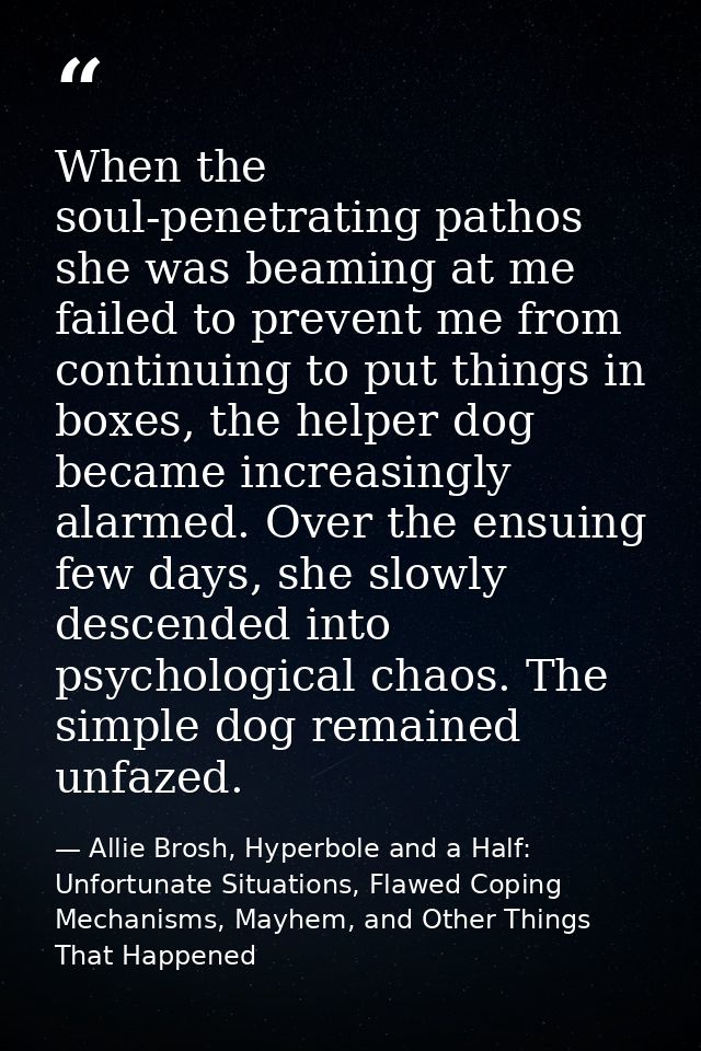 When the soul-penetrating pathos she was beaming at me failed to prevent me from continuing to put things in boxes, the  — Allie Brosh, Hyperbole and a Half: Unfortunate Situations, Flawed Coping Mechanisms, Mayhem, and Other Things That Happened