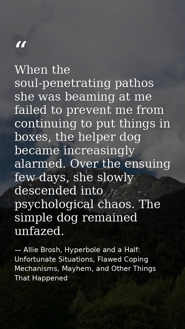 When the soul-penetrating pathos she was beaming at me failed to prevent me from continuing to put things in boxes, the  — Allie Brosh, Hyperbole and a Half: Unfortunate Situations, Flawed Coping Mechanisms, Mayhem, and Other Things That Happened