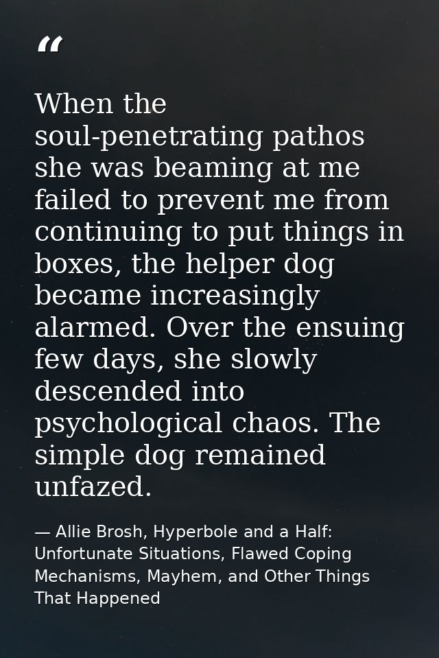 When the soul-penetrating pathos she was beaming at me failed to prevent me from continuing to put things in boxes, the  — Allie Brosh, Hyperbole and a Half: Unfortunate Situations, Flawed Coping Mechanisms, Mayhem, and Other Things That Happened