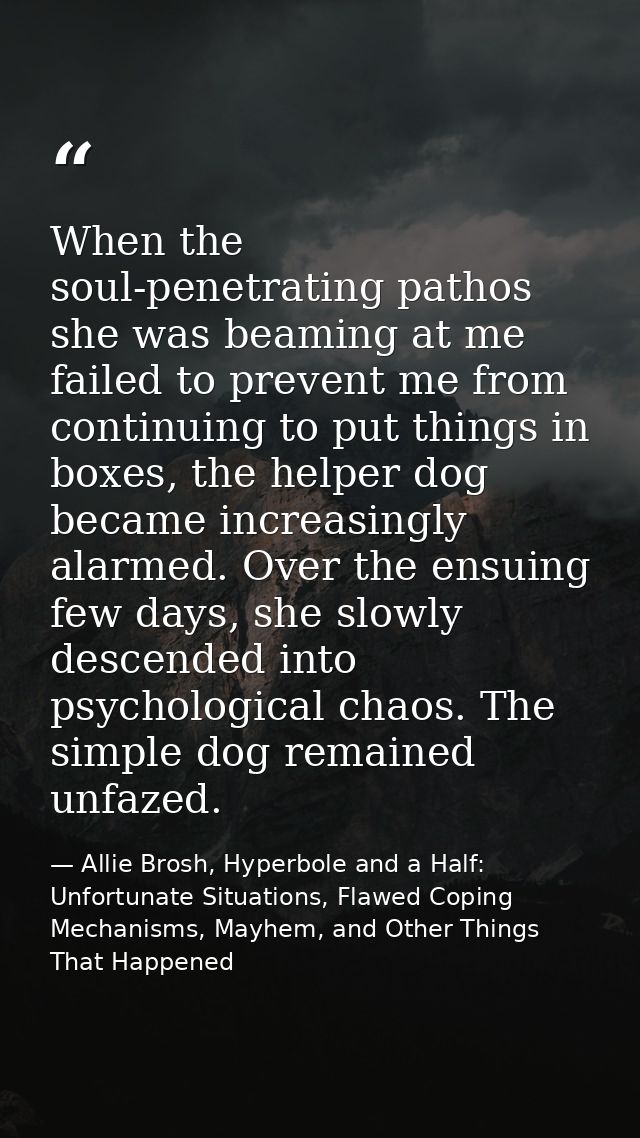 When the soul-penetrating pathos she was beaming at me failed to prevent me from continuing to put things in boxes, the  — Allie Brosh, Hyperbole and a Half: Unfortunate Situations, Flawed Coping Mechanisms, Mayhem, and Other Things That Happened