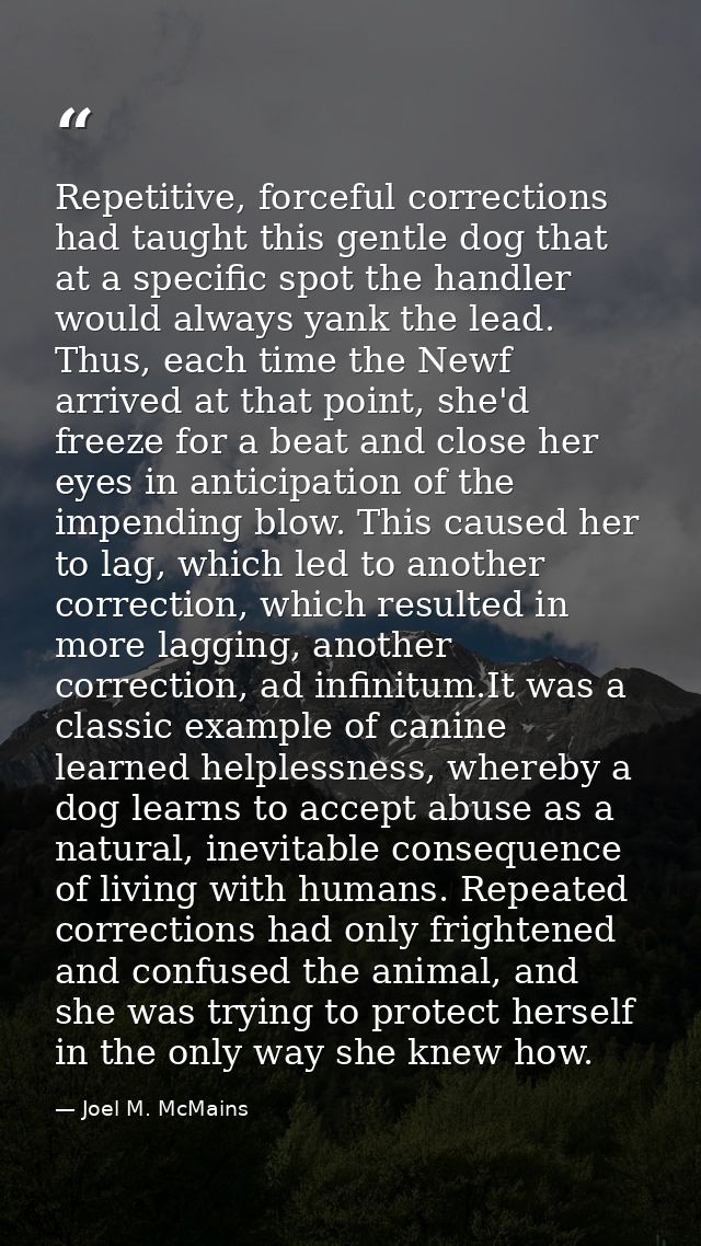 Repetitive, forceful corrections had taught this gentle dog that at a specific spot the handler would always yank the le — Joel M. McMains