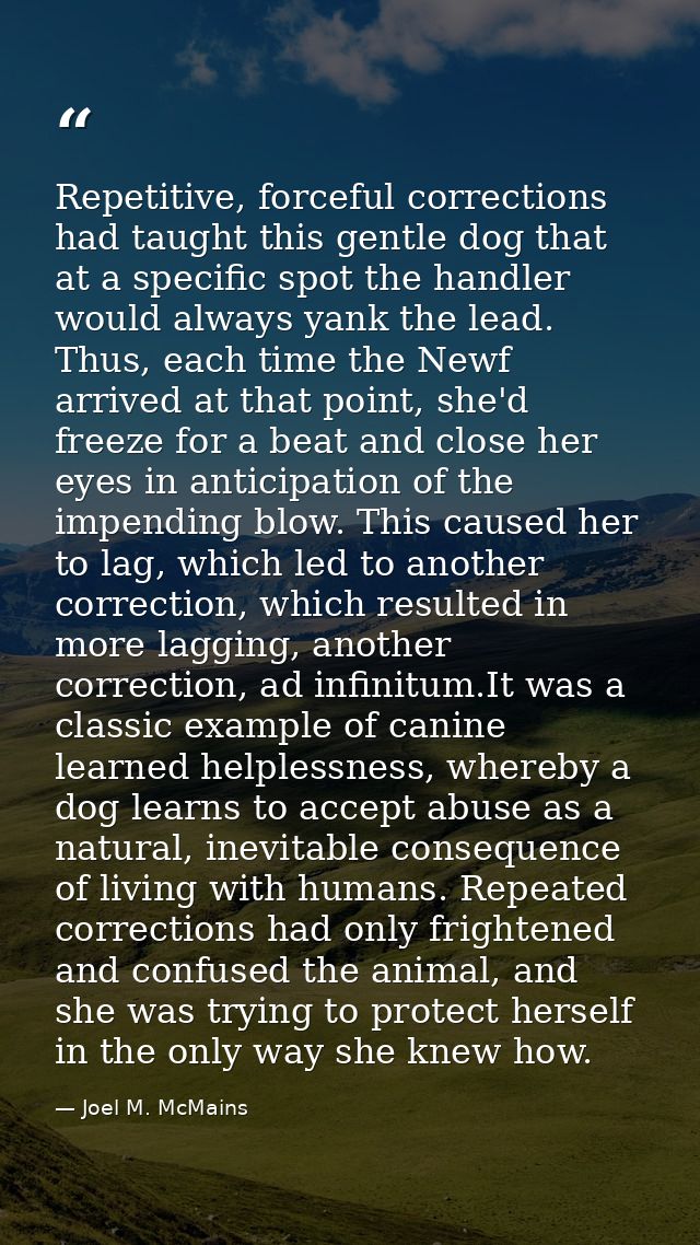 Repetitive, forceful corrections had taught this gentle dog that at a specific spot the handler would always yank the le — Joel M. McMains